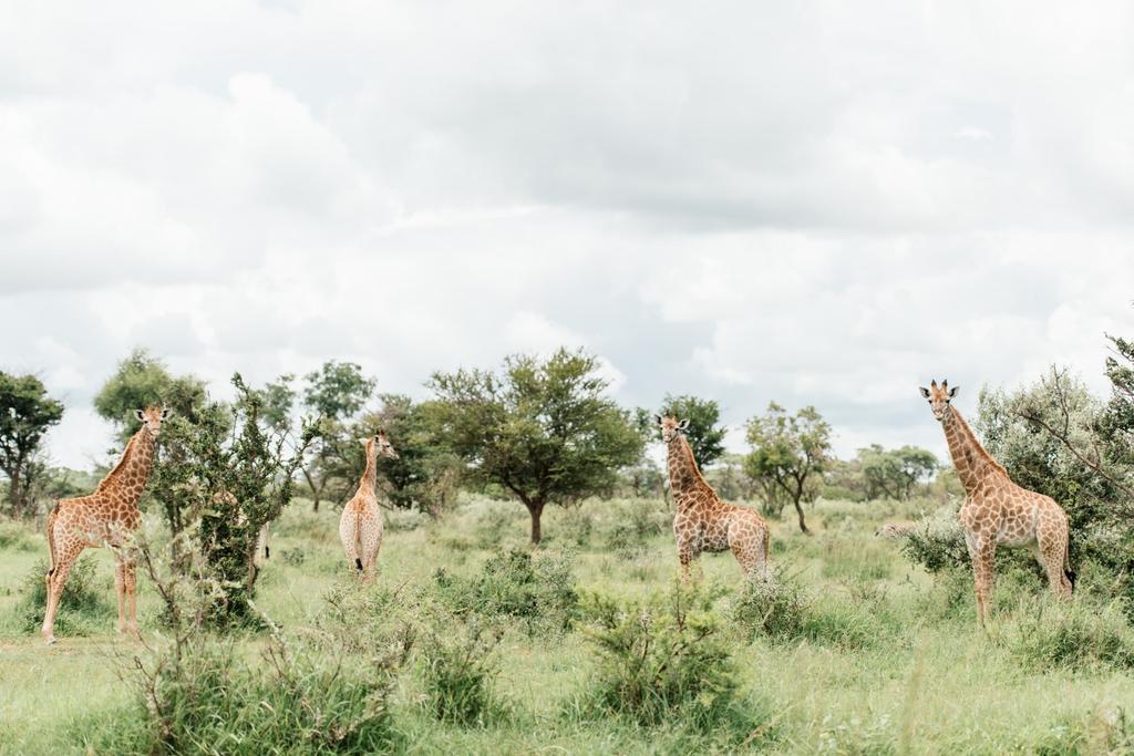 Monate Game Lodge Modimolle Buitenkant foto