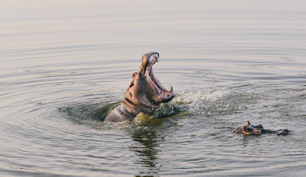 Monate Game Lodge Modimolle Buitenkant foto
